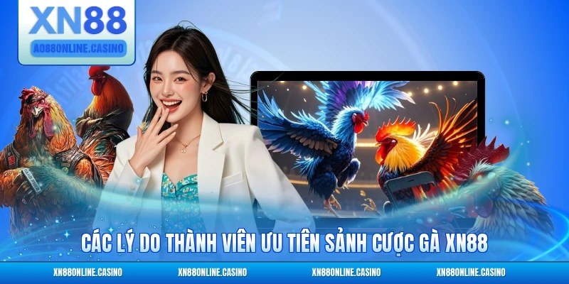 Các lý do thành viên ưu tiên sảnh cược gà XN88